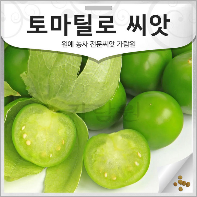 토마틸로 씨앗 피살리스 종자 꽈리 꽈리씨 토마티요 100알