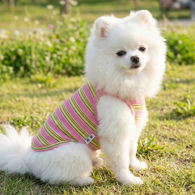 강아지옷 데일리나시 봄여름 민소매 애견티셔츠, 1개, 핑크