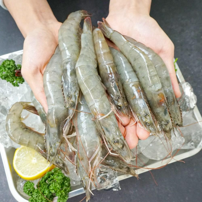 [파시] 국내산 탱글탱글한 신선 급냉 흰다리새우 냉동새우 1kg (36~47미), 1개, 새우 [36-47미] 1kg