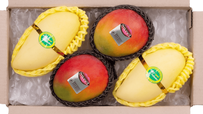 [항공직송] [당일배송] 태국 망고 프리미엄 혼합 세트 남독마이 망고 & 애플망고 가정용 선물세트, 1박스, 1.7kg