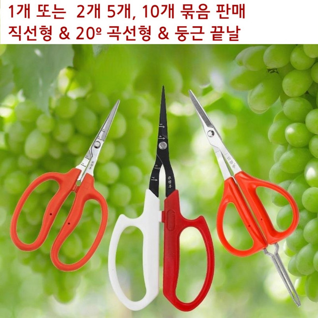 포도 알솎기 가위 원예 알속기 적과 세지 꽃꽃이 사과 배 다목적, no. 937 2개, 1개
