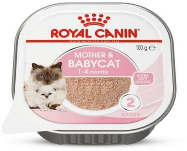 생후 1개월 2개월 이상 아기고양이 새끼고양이 이유식 습식 사료, 닭+오리, 100g, 6개