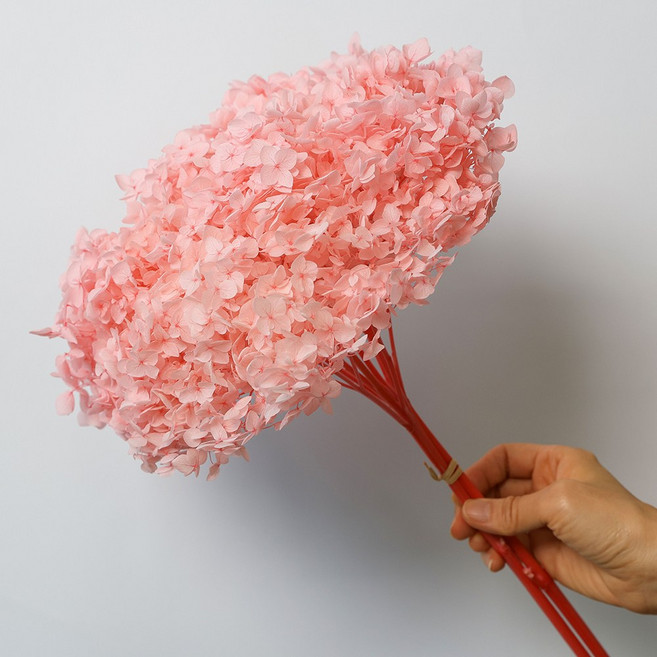 [플라워민트] 드라이플라워 수국 대용량 프리저브드플라워 도매, 핑크, 핑크