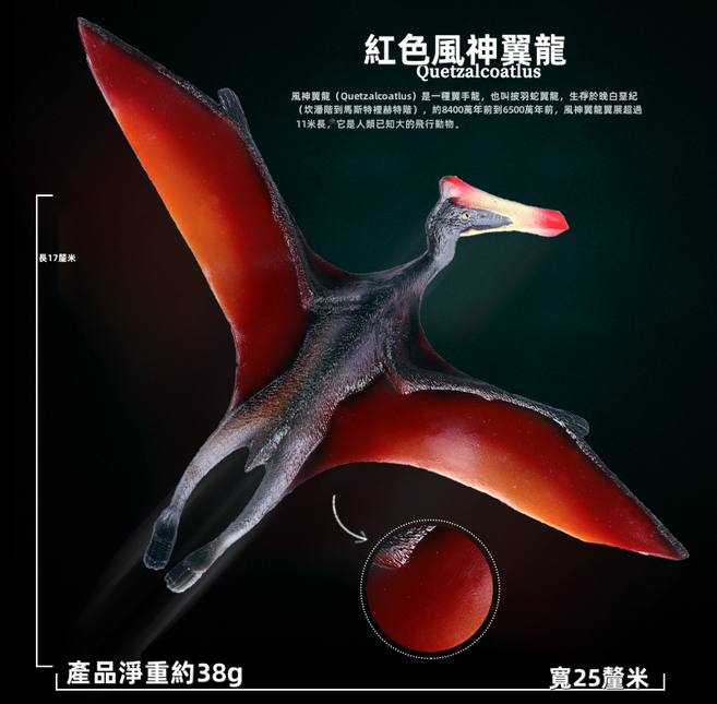 侏羅紀仿真實心恐龍模型玩具翼龍風神翼龍古魔翼龍翼手龍套裝, 1個, 紅色風神翼龍0038KG:62