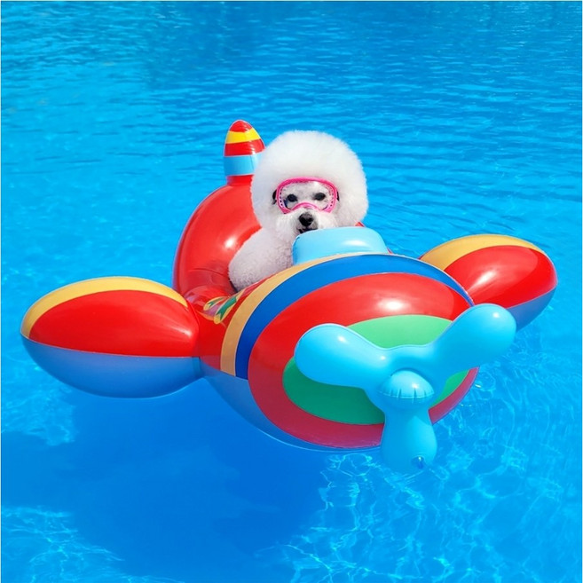 리치독스 강아지 물놀이 비행기 튜브, 1개