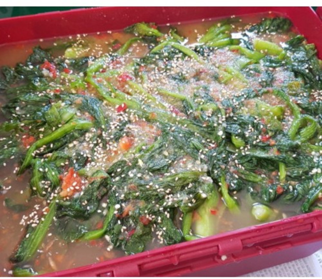 직접키운 부드러운 돌산집 돌산 청갓 돌갓 물김치, 1개, 1kg