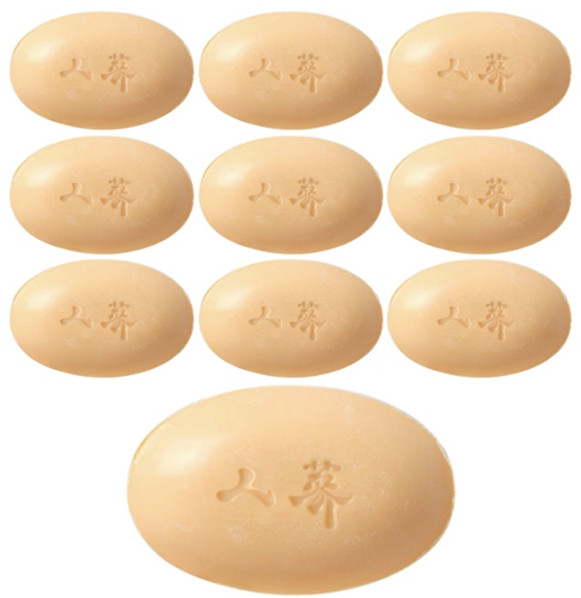 토탈하우스 알비누 인삼비누 R비누 0110, 10개입, 115g