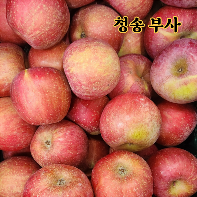 [고산지 재배] 사과 고당도 청송사과 부사사과, 1박스, 5kg (상품) 가정용