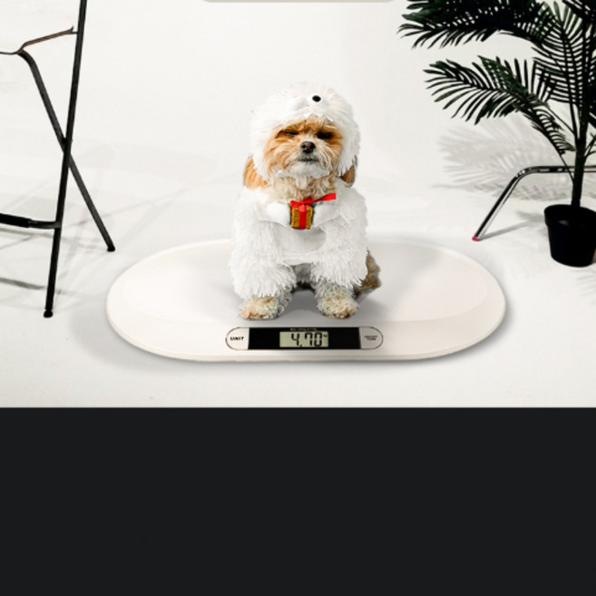 반려동물 체중계 디지털 강아지 고양이 건강 측정, 1개