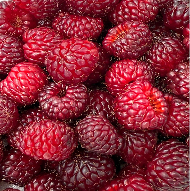 금메달농수산 농가직송 국내산 정품 급냉 산딸기, 1개, 1kg