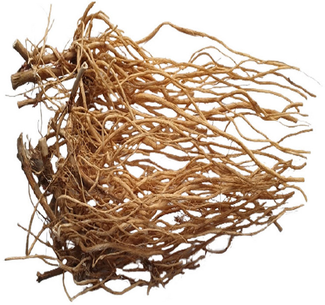 우슬 특품 300g/동의보감촌 지리산 자연산100% 우슬초 쇠무릎지기(지리산한방식품), 300g, 2개