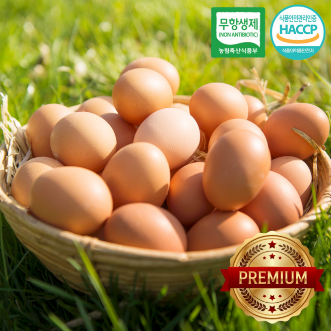 [맛꾼] 프리미엄 HACCP 자연방사 난각번호 1번 무항생제 유정란, 1개, 60구