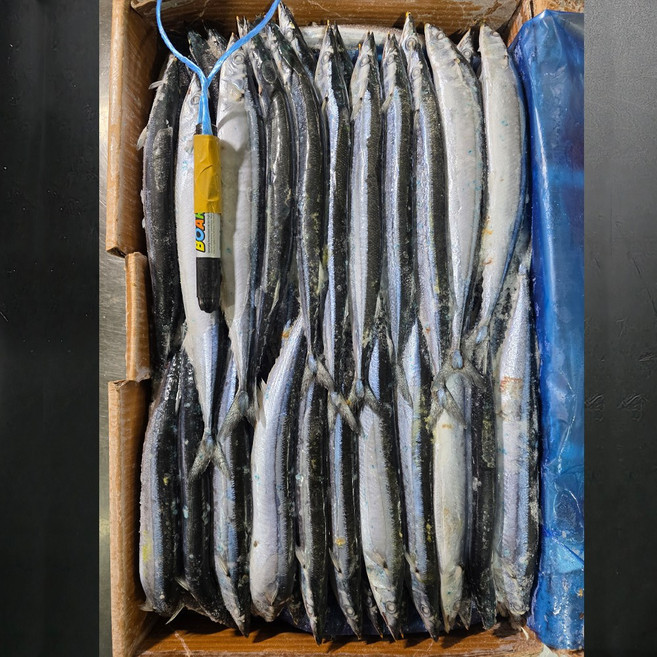 HACCP인증 # # (냉동 꽁치) # (조덕이네) # # (1kg /2kg /3kg/10kg) ## (10미 + - 10g-50g)### (구이 조림 튀김 업소 식당)###, 1개, 10kg