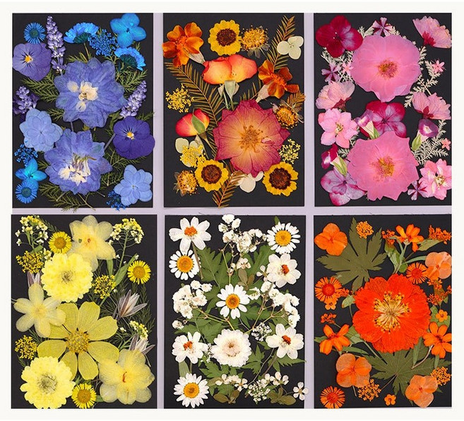 압화 꽃 G형 세트 드라이플라워 공예 재료 레진 아트 꽃압화 장식 생화 데코 만들기, 05.흰색꽃(1세트)