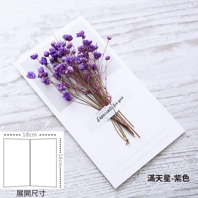 乾燥花卡片 滿天星, 1個, 滿天星｜紫色, 紫色