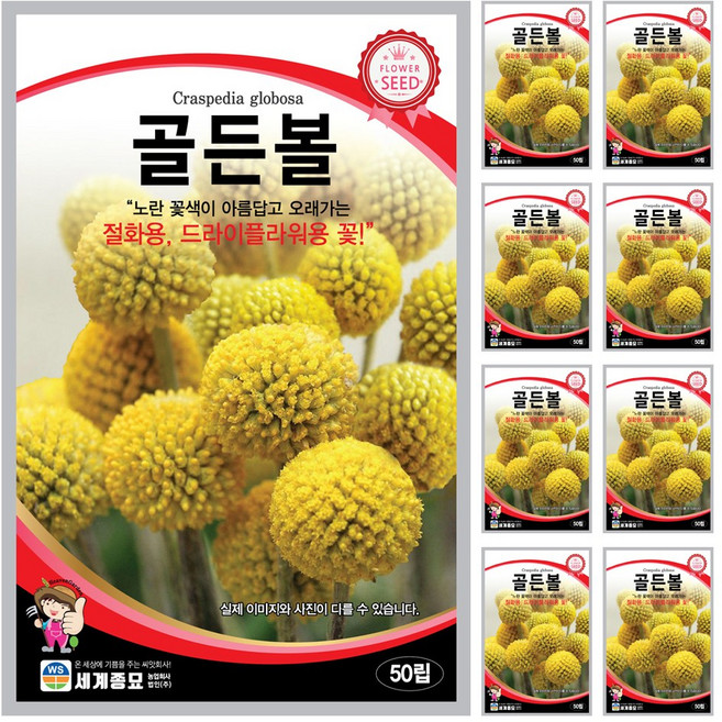 골든볼 씨앗 50립 꽃씨앗 세계종묘 모칸도, 9개