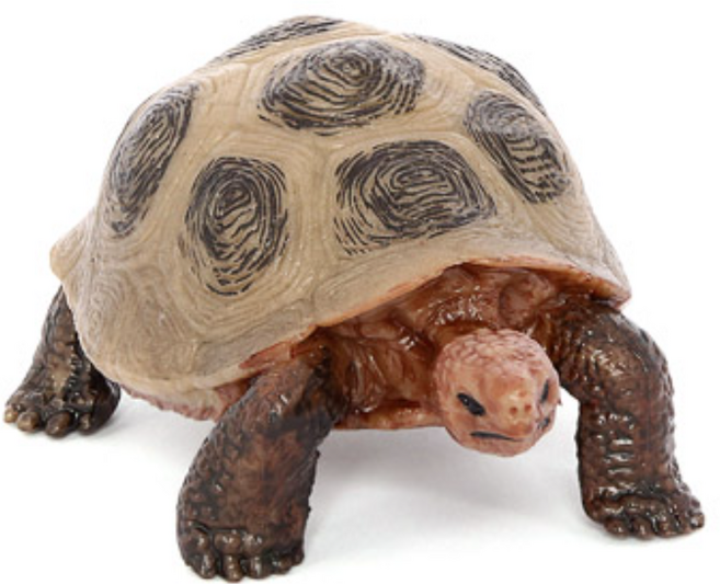제트피규어 갈색 육지 거북이 피규어 동물 농장 장난감 모형, 1개