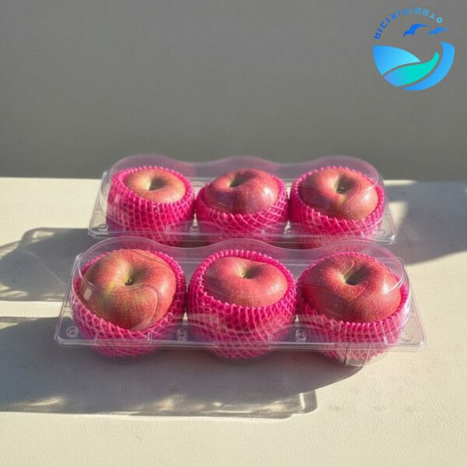 바다씨쌀롱 (Hmall)제수용 청송사과 3개 1.2kg이상(1개 400g 큰사과)프리미엄 고당도 사과, 바다씨쌀롱 (Hmall)제수용 청송사과 3개 1.2kg