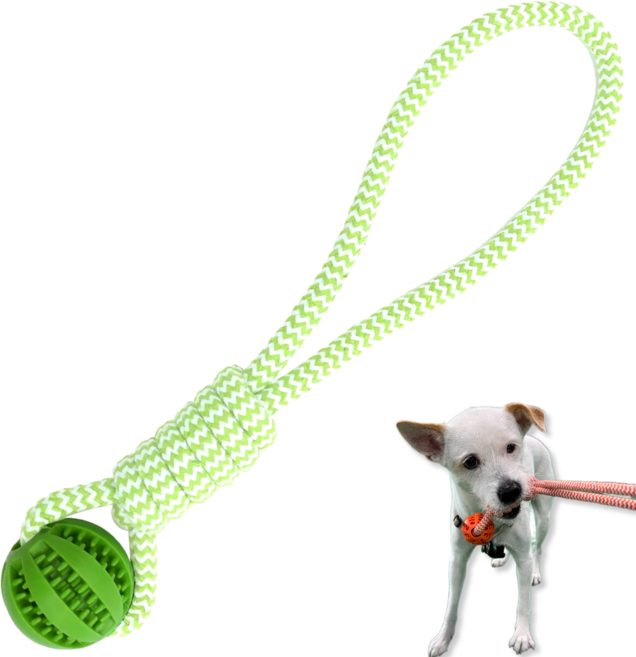 LETOJ 강아지 원형 터그놀이, 1개, 그린