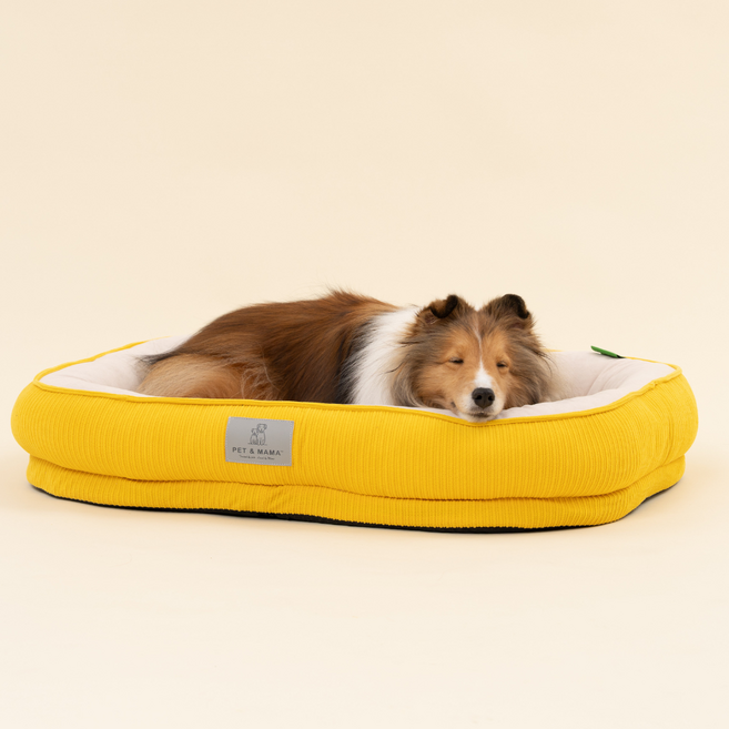 홀릭하임 슬개골 보호 강아지 폼 방석 노령견 극세사 쿠션 분리세탁, 1개, Deep옐로우