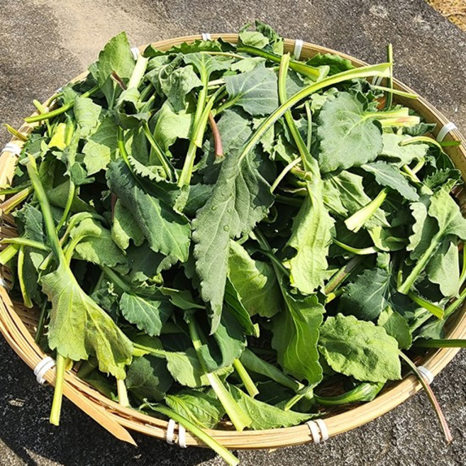 팔공산 부지깽이 취나물 500g 외 1kg/2kg, 03_팔공산 부지깽이 취나물 2kg, 1개