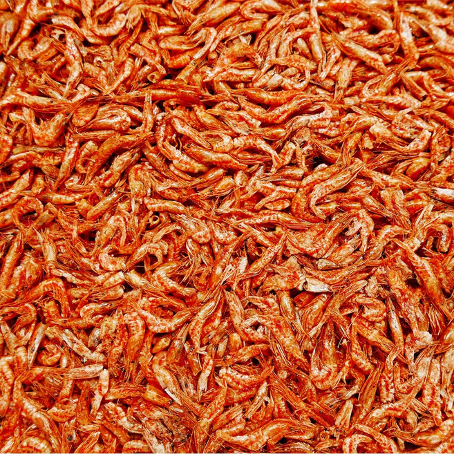 완도소안농협 홍새우 100g (다시팩 무료증정), 1개