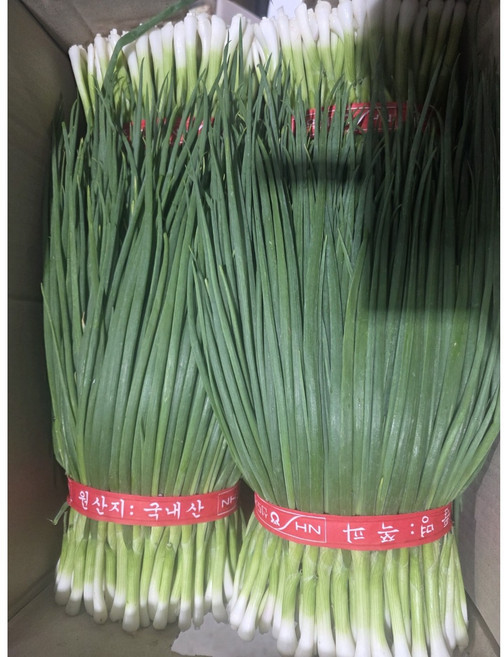 [당일경매] 국내산 신선 깐쪽파 1kg 식자재 업소용 가정용, 쪽파 1kg