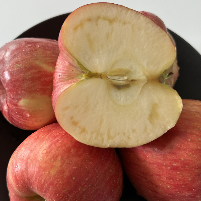 [현지직송]경북 문경 부사사과 정품 제철 햇사과, 중과 5kg, 1박스