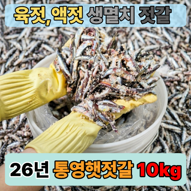 26년 남해 국산 멸치젓갈 봄 생멸치 통멸치젓 액젓 육젓용, 10kg, 1개