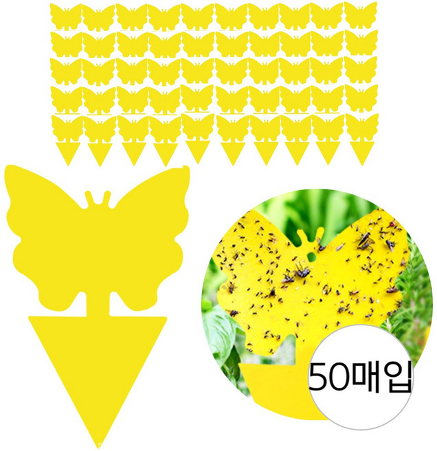 우아한클릭 날파리 퇴치 끈끈이 트랩, 1개, 50개입