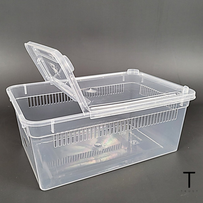 파충류 양서류 절지류 숨구멍 타공 사육장 케이지 중형, 1개