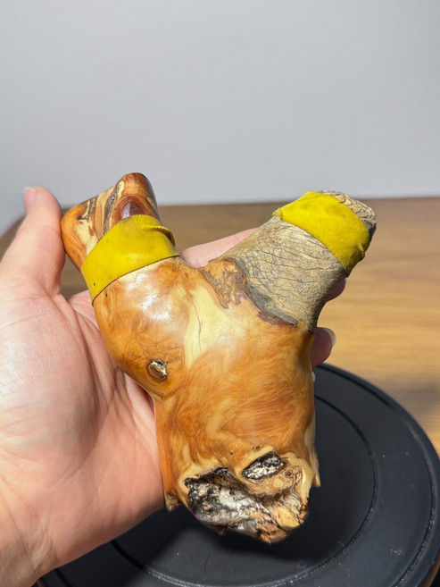 太行崖柏 彈弓, 如圖所示, 1個