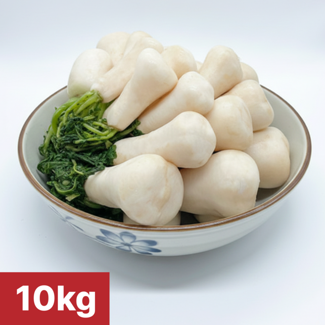 [여수진이네] 당일제조 국내산 여수 절임 알타리무 알타리절임, 1개, 10kg