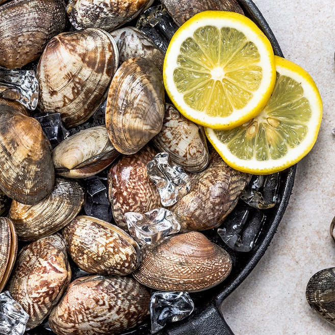 산지직송 남해안 활 바지락 2kg, 1박스