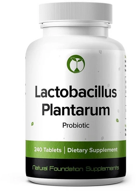 Natural Foundation Supplements 락토바실러스 플란타룸 프로바이오틱 보충제 240정 30억 CFU 프로바이오틱스 남성 및 여성용 (240 락토바실러스 - 쿠팡
