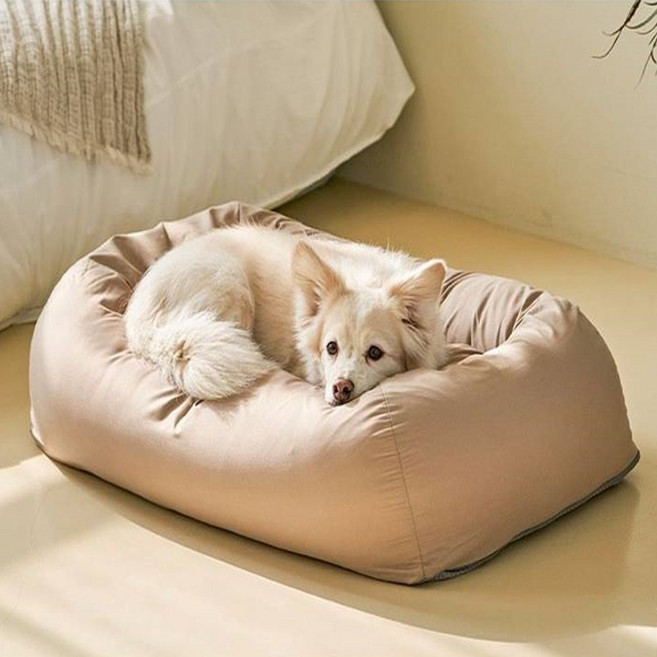 스테이 마약방석 반려동물전용 방석, 1개, 브라운