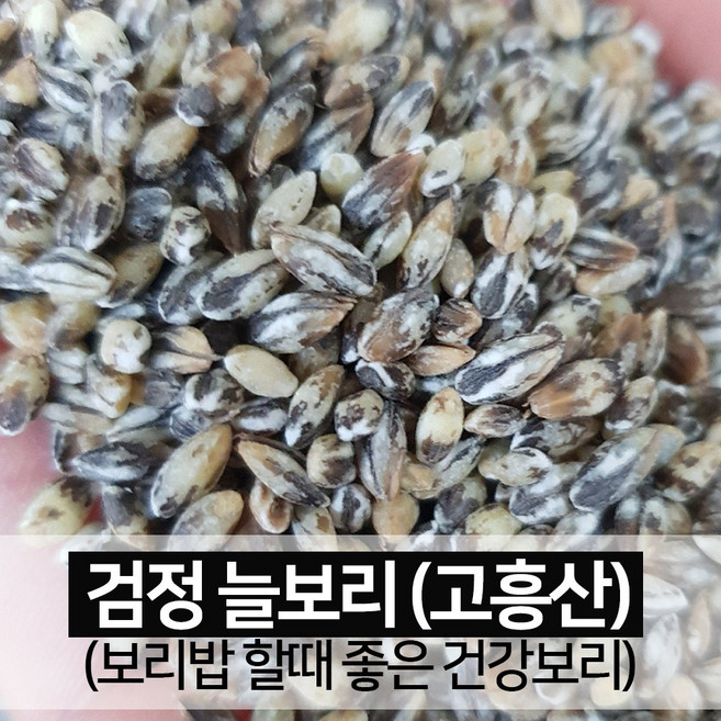 [진도장모와서울큰사위] 검정 늘보리 보리쌀 국산 꽁보리 [26년 6월 출하], 1개, 5kg