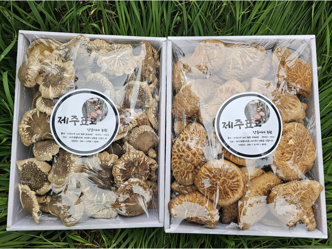 한라산 건표고버섯 500g, 슬라이스(300g)잡채용, 1개