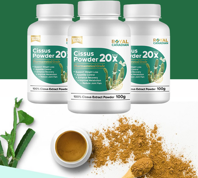 로얄캐네디언 시서스 시저스 파우더 가루 시써스 cissus extract 캐나다 차 분말 가루 Royal Canadian, 100g, 3개