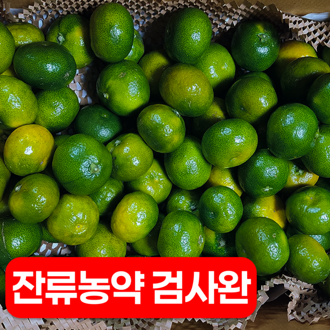 5위 - [청귤청 전용] 제주 청귤 풋귤 산지직송, 1박스, 10kg (혼합과)