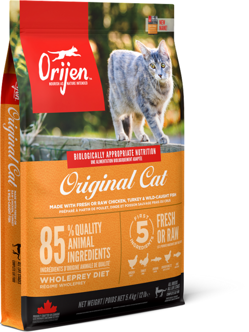 오리젠 전연령 캣앤키튼 고양이 건식사료, 닭, 1.8kg, 1개