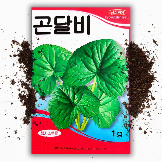 곤달비 씨앗 (1g), 1개