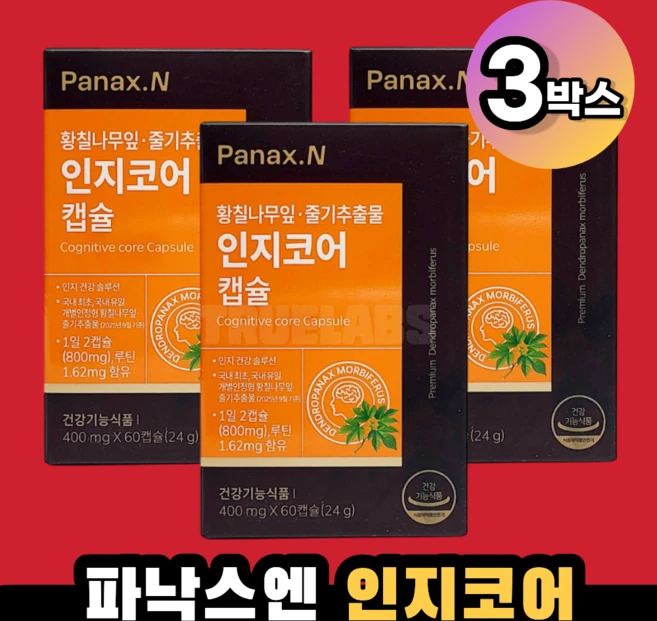 파낙스엔 인지코어 3박스, 60정 - 쿠팡
