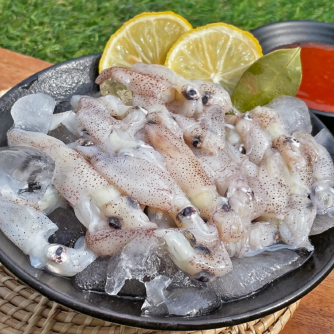 (산지직송) 당일조업 횟감용생물 제철꼴뚜기 호래기, 1개, 1kg