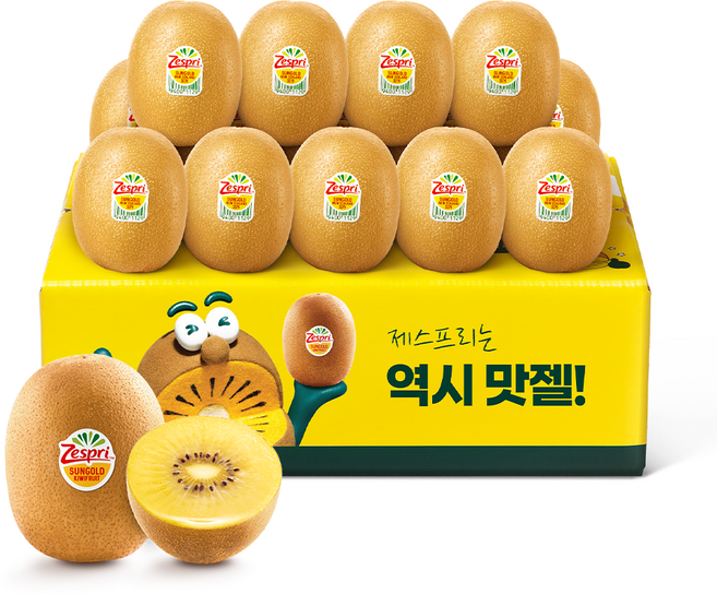 제스프리 썬골드키위 1.55kg내외 10~12개입 점보 특대, 1박스, 대과 개별 130g내외 12개입