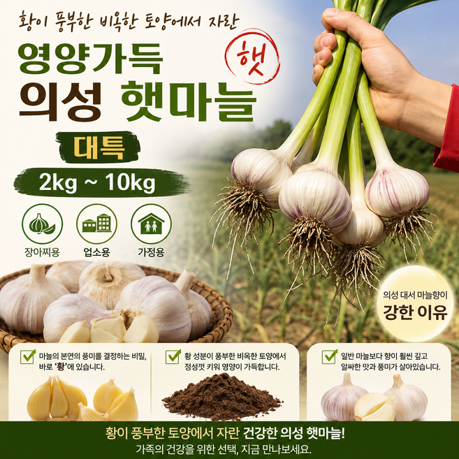 의성 햇마늘 좋은 토양에서 자란 영약가득 대서 햇마늘 대특 2kg~10kg 장아찌용 가정용 업소용, 1개, 10kg