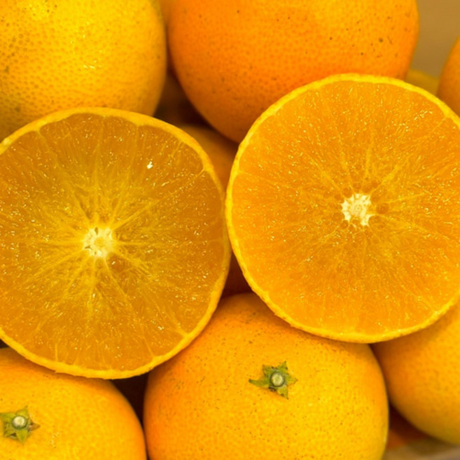 황금향 제주감귤 제주도귤 산지직송 과일선물, 1박스, 황금향 가정용 5kg 중과(18~23과 내외)