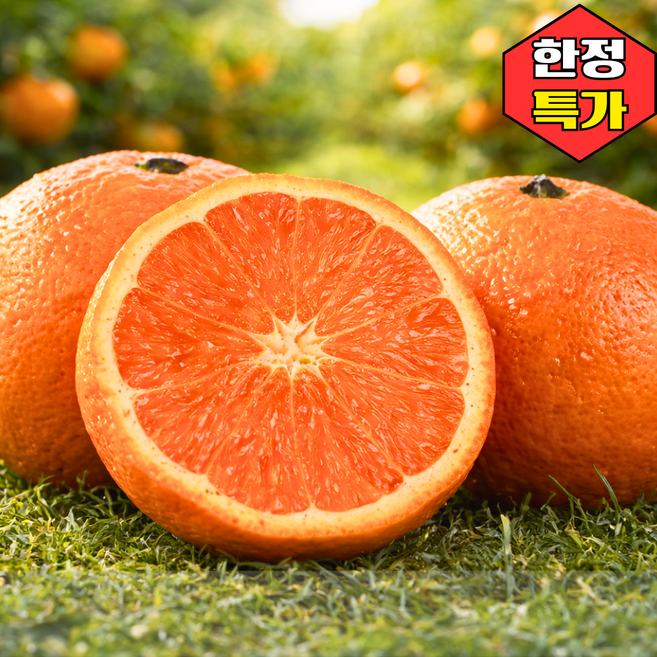 [한정특가] 산지직송 초고당도 과즙폭발 제주 카라향, 1개, 2kg 소과