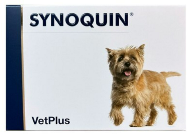 벳플러스 사이노퀸 스몰브리드 강아지 독 소형견 관절 연골 영양제 캡슐형, 30회분, 뼈/관절강화, 2개