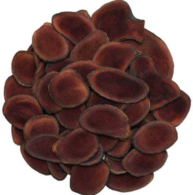 러시아녹용 특상대 75g 흥수녹용 [원산지:러시아연방], 1개